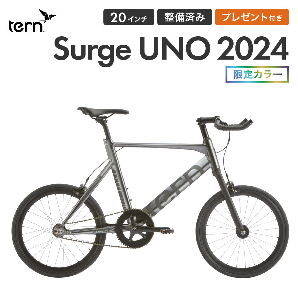 Tern MINIVELO SURGE UNO 2024(限定色) 24SUUNNS50 | 自転車 