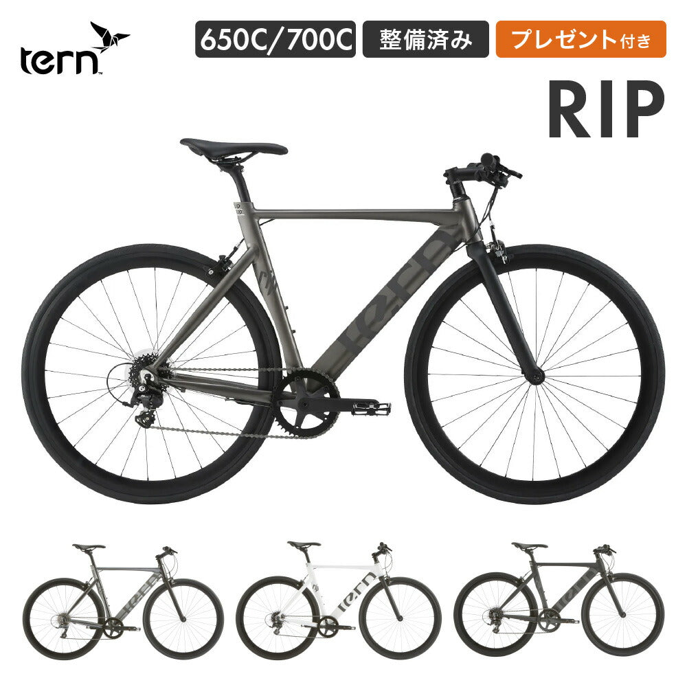 Tern CROSS BIKE RIP 2024 24RIP0MB46 | 自転車、ゴルフ、アウトドアのベストスポーツ本店