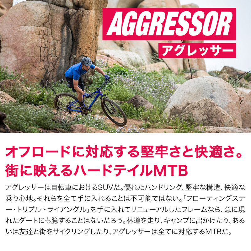 ベストスポーツ GT（ジーティー）製品。GT 22 AGGRESSOR COMP 9914754