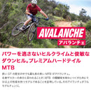 ベストスポーツ GT（ジーティー）製品。GT 22 AVALANCHE COMP V2 9013724