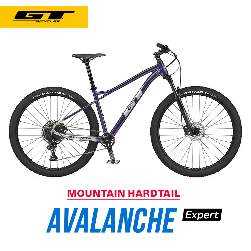 GT 22 AVALANCHE EXPERT V2 9013321 | 自転車、ゴルフ、アウトドアのベストスポーツ本店