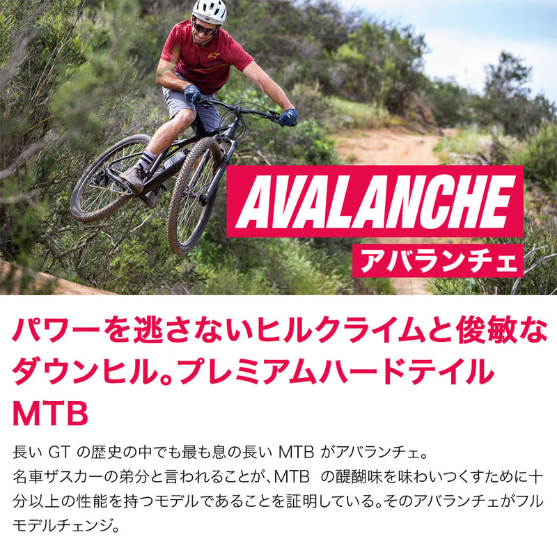 ベストスポーツ GT（ジーティー）製品。GT 22 AVALANCHE SPORT V2 9013855