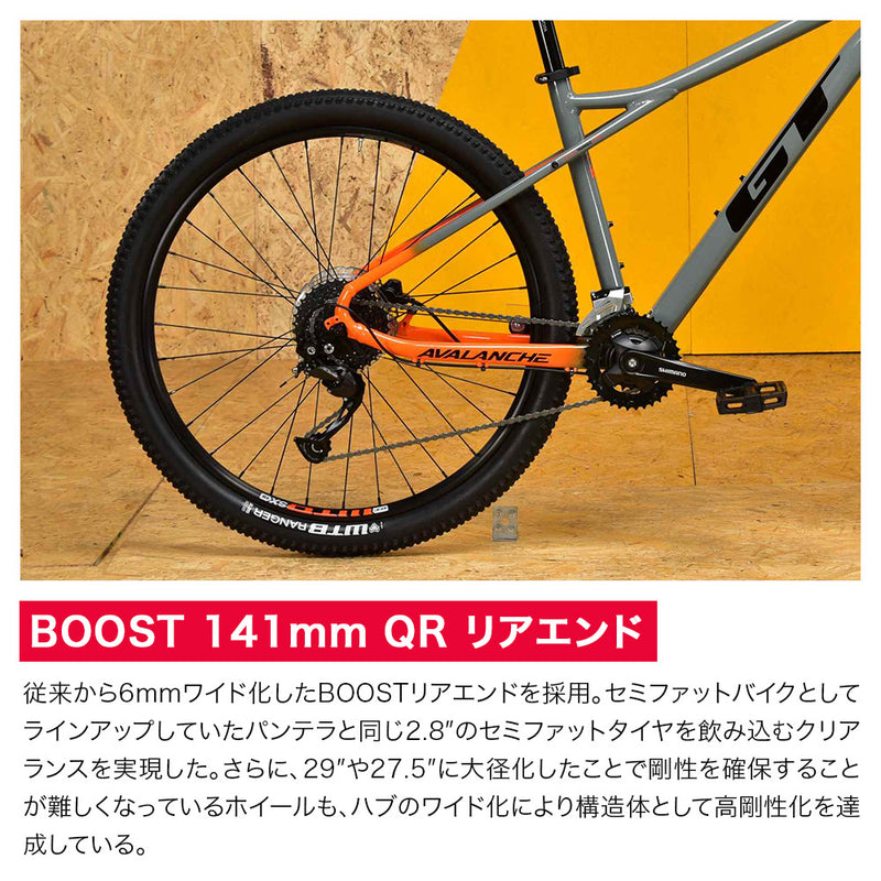 ベストスポーツ GT（ジーティー）製品。GT 22 AVALANCHE SPORT V2 9013855