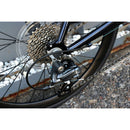 ベストスポーツ Tern（ターン）製品。Tern MINIVELO BIKE SURGE 2024(限定色) 24SURGFN52