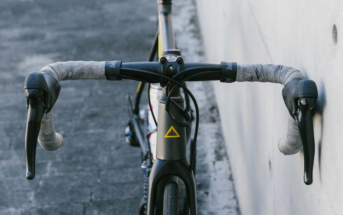 FUJI NAOMI DISC 49 2025 25NAODGM49 | 自転車、ゴルフ、アウトドアの