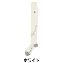 ベストスポーツ and per se（アンパスィ）製品。and per se ニーハイソックス(レディース) 25FW AFF8145