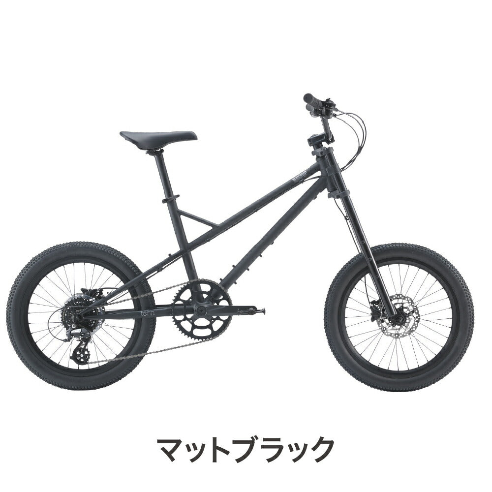 bicycle_color_01_2ffb97a2-0d20