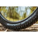 ベストスポーツ DAHON（ダホン）製品。DAHON タイヤ SCHWALBE/Smart Sam 16x1.85 5-1099023884
