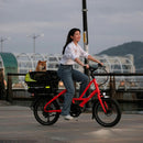 ベストスポーツ Tern（ターン）製品。Tern Dog Roof Mini 1-2022320972