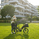 ベストスポーツ Tern（ターン）製品。Tern Dog Roof Mini 1-2022320972