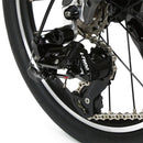 ベストスポーツ HARRY QUINN（ハリークイン）製品。HARRY QUINN limit 6 88225-1499