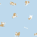 ベストスポーツ HUS.（ハス）製品。HUS. Smartduo Plus 54904