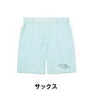 ベストスポーツ le coq sportif（ルコックスポルティフ）製品。le coq sportif サッカーストライプショートパンツ 26SS LG6SHP02M