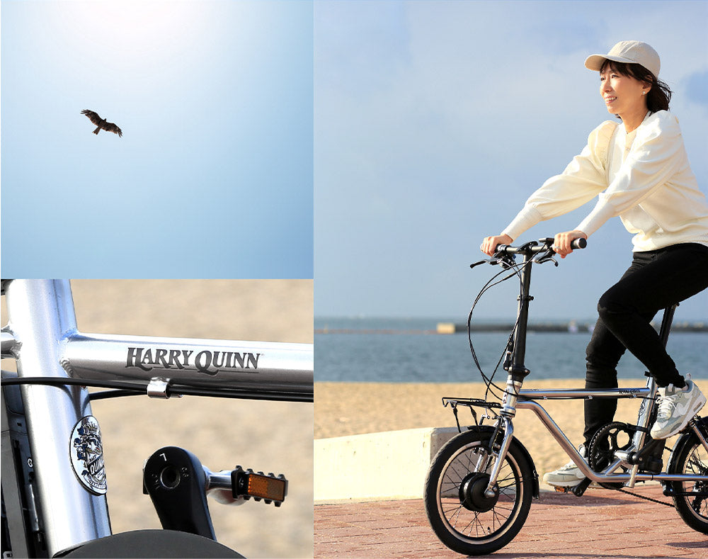 HARRY QUINN Liverpool163E E-BIKE 88526-0999 | 自転車、ゴルフ、アウトドアのベストスポーツ本店