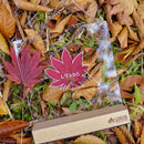 ベストスポーツ LOGOS（ロゴス）製品。LOGOS 光るお絵描きプレート 74175635