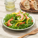 ベストスポーツ LOGOS（ロゴス）製品。LOGOS SNOOPY(Beagle Scouts 50years) ホーローサラダプレート 86001116