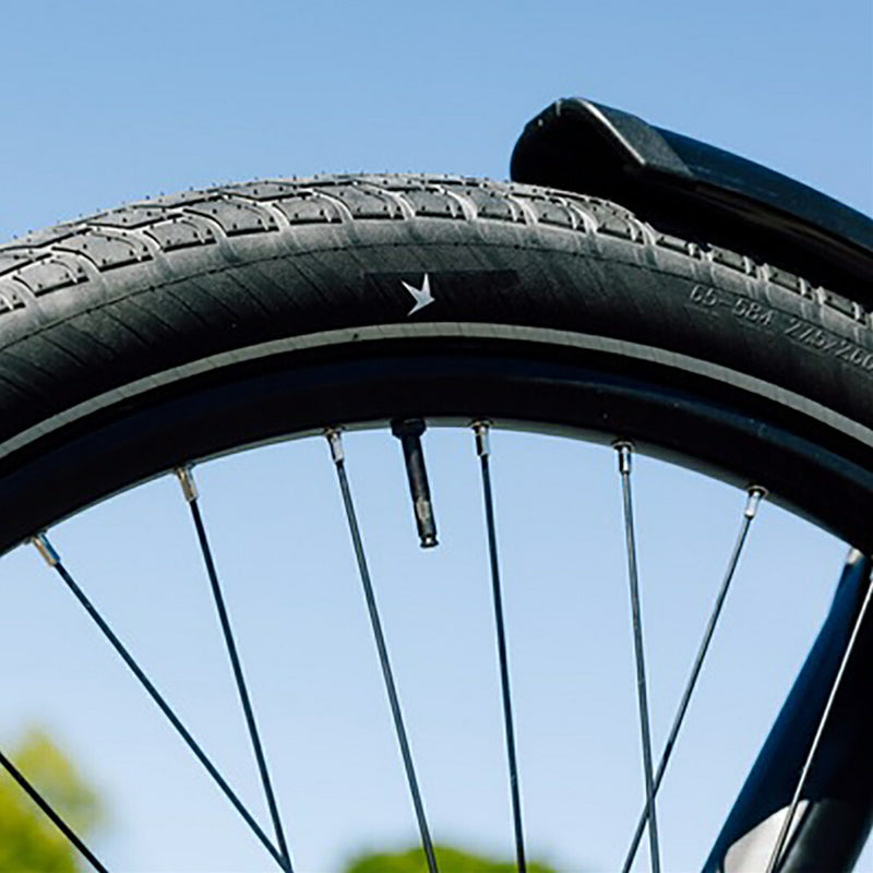 SCHWALBE タイヤ モーションビックアップル 16x2.00 50-305 SW