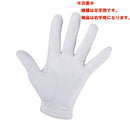 ベストスポーツ Titleist プロフェッショナル グローブ(右手用) 23FW TG73