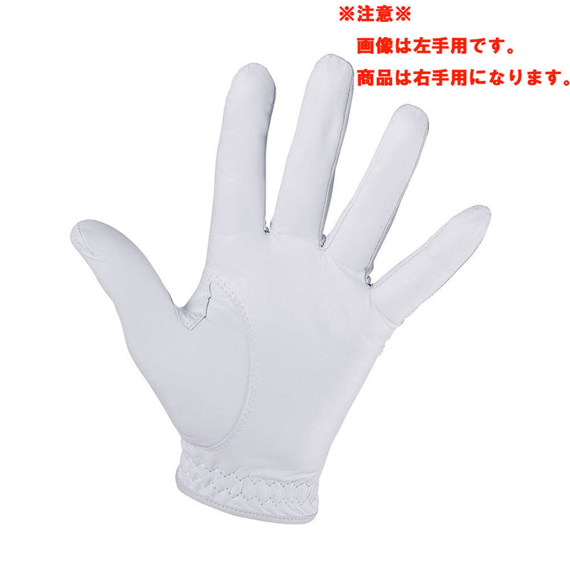 ベストスポーツ Titleist プロフェッショナル グローブ(右手用) 23FW TG73