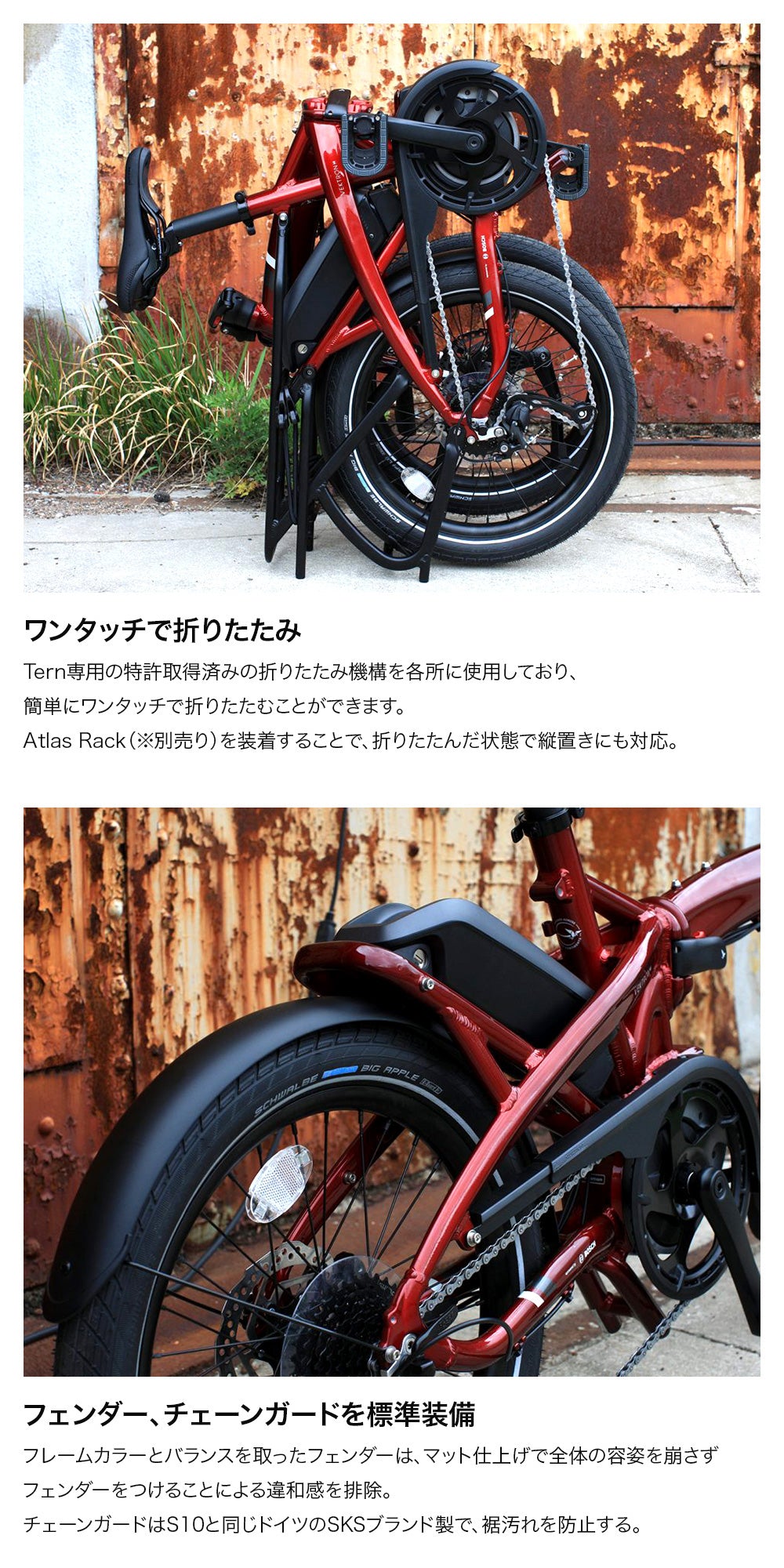 Tern FOLDING E-BIKE VEKTRON N8 2022 | 自転車、ゴルフ、アウトドアのベストスポーツ本店