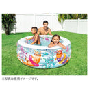 ベストスポーツ INTEX（インテックス）製品。INTEX AQUARIUM POOL 58480
