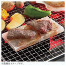 ベストスポーツ LOGOS（ロゴス）製品。LOGOS LOGOS 岩塩プレート 81065990