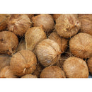 ベストスポーツ LOGOS（ロゴス）製品。エコココロゴス・ラウンドストーブ2