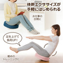 ベストスポーツ NEEDS LABO（ニーズラボ）製品。NEEDS LABO 体幹ゆらゆらバランスクッション