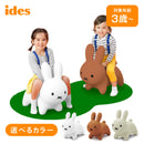 ベストスポーツ ides（アイデス）製品。ides ブルーナボンボン