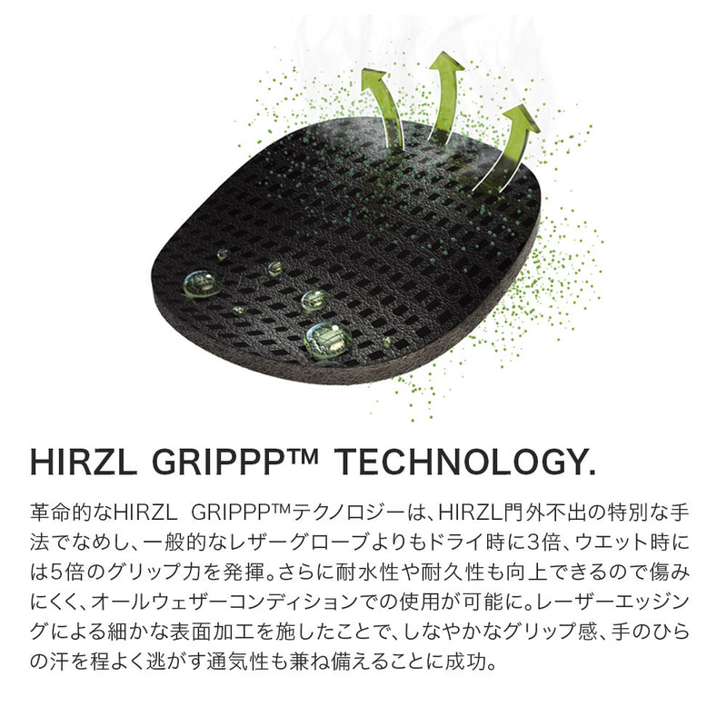 ベストスポーツ HIRZL（ハーツェル）製品。HIRZL GRIPPP TOUR FF 2 グローブ 72131L