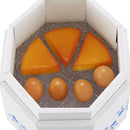 ベストスポーツ LOGOS（ロゴス）製品。LOGOS LOGOSの森林 クラフトスモーカー 81066020