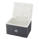 ベストスポーツ LOGOS（ロゴス）製品。LOGOS サーモテクト 氷点下クーラー タフ30 81670150