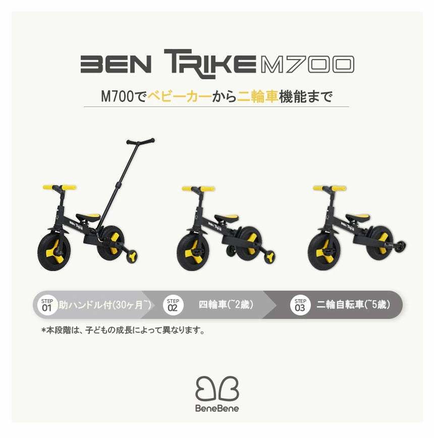 BeneBene ベネベネ 折りたたみ三輪車 大人用ハンドル 【当店限定販売