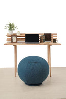 ベストスポーツ NEEDS LABO（ニーズラボ）製品。NEEDS LABO 体幹バランスエクサボール