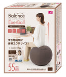 ベストスポーツ NEEDS LABO（ニーズラボ）製品。NEEDS LABO 体幹バランスエクサボール