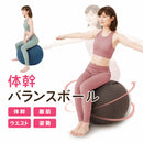 ベストスポーツ NEEDS LABO（ニーズラボ） 体幹バランスエクサボール