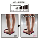 ベストスポーツ NEEDS LABO（ニーズラボ）製品。NEEDS LABO フットエクサペンタゴン