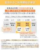 ベストスポーツ Bee-Fi（ビーファイ）製品。レンタルWiFi 月100GB 1ヵ月プラン