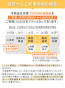 ベストスポーツ Bee-Fi（ビーファイ）製品。【月初発送】レンタルWiFi 月100GB 1ヵ月プラン