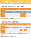 ベストスポーツ Bee-Fi（ビーファイ）製品。【月初発送】レンタルWiFi 月100GB 3ヶ月プラン